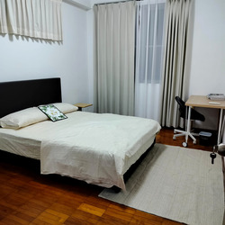 Rising Suites (D10), Apartment #418580591